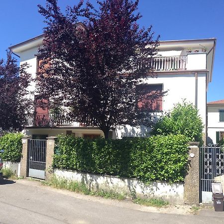 A Quattro Passi Dalle Mura Lucca Exteriér fotografie